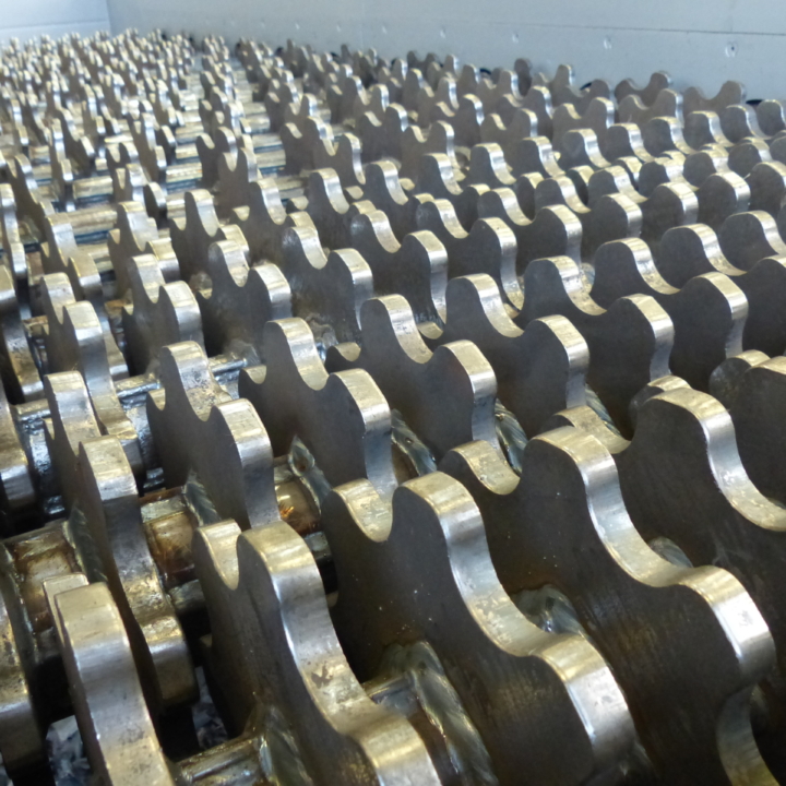 vaglio_margherite (2)